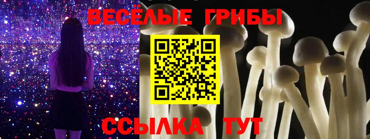 Алексин  сколько стоит  Вход с VPN  Псилоцибиновые грибы Psilocybine cubensis 